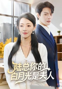 陸總你的白月光是夫人