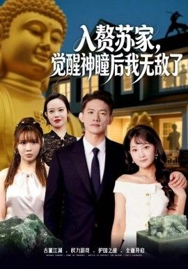 贅蘇家，覺醒神瞳後我無敵了