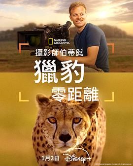 攝影師貝爾蒂與獵豹零距離