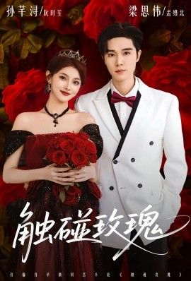 觸碰玫瑰（凌晨四點半，玫瑰花未眠）