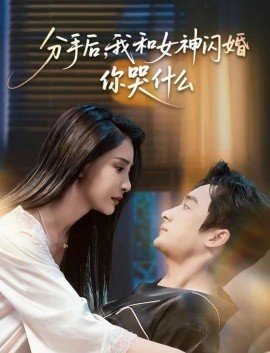 分手後，我和女神閃婚你哭什麼 悲歡離合總無情