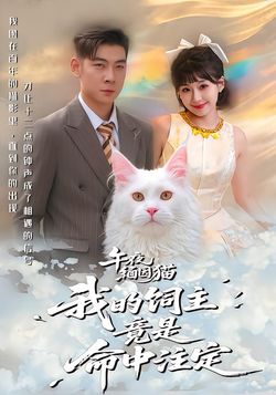 午夜緬因貓我的飼主竟是命中註定