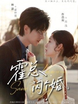 霍總閃個婚