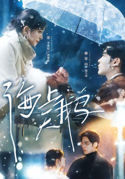 海上天鵝