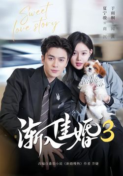 漸入佳婚3