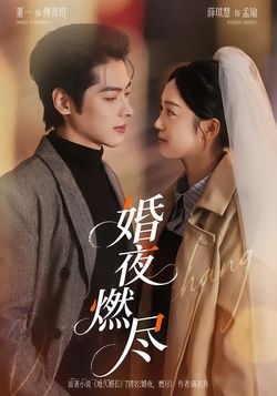 婚夜燃盡
