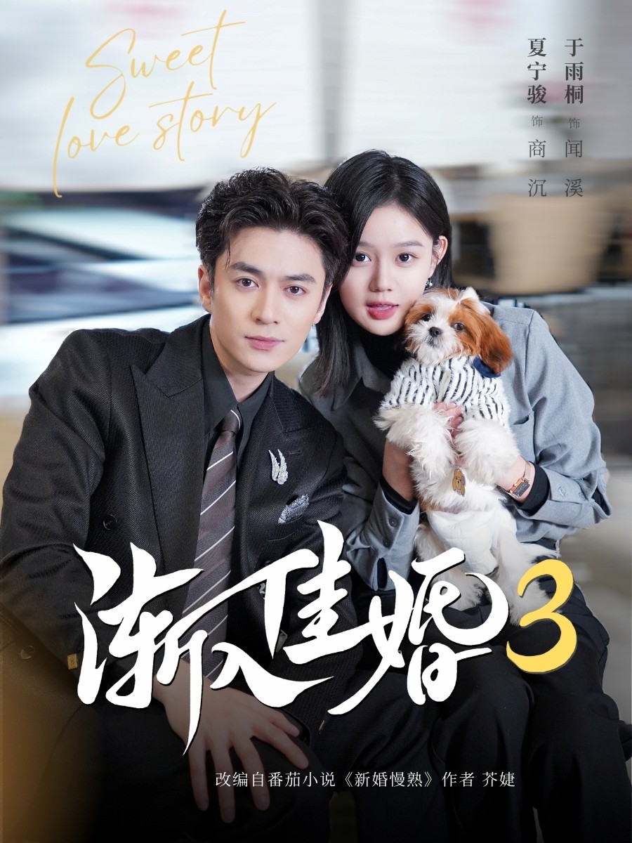 漸入佳婚3第三部