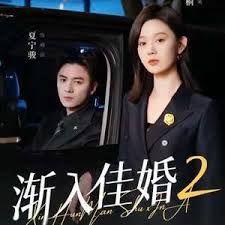 漸入佳婚第二部