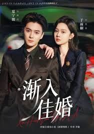 漸入佳婚第一部