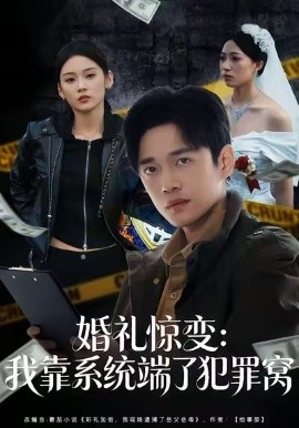 婚禮驚變：我靠系統端了犯罪窩