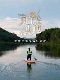 風華正茂第三季