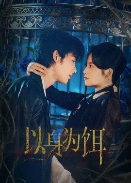 以身為餌短劇
