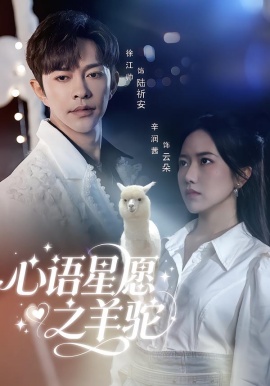心語星願之羊駝