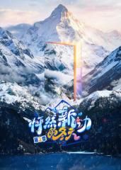 怦然新動的冬天第二季