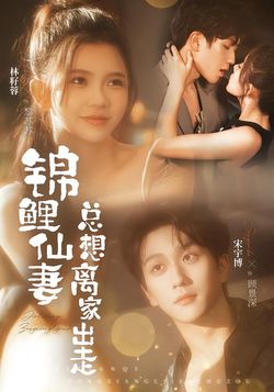 錦鯉仙妻總想離家出走