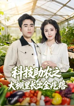 科技助農之大棚里長出金疙瘩