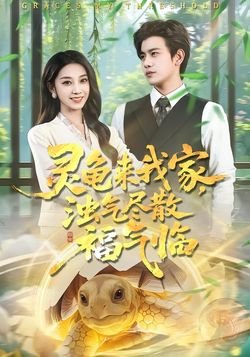 靈龜來我家，濁氣盡散福氣臨