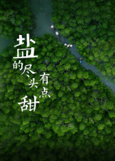 鹽的盡頭有點甜