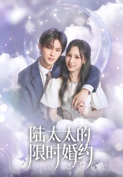 陸太太的限時婚約