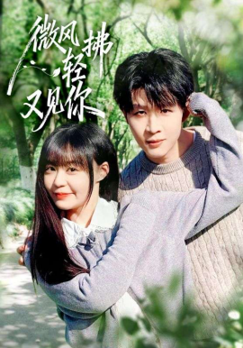 微風輕拂又見你