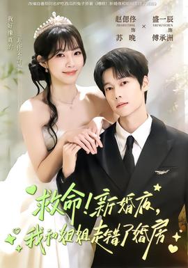 救命！新婚夜，我和姐姐走錯了婚房