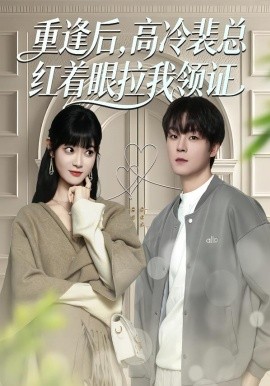 重逢後，高冷裴總紅著眼拉我領證