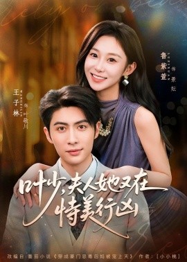 葉少，夫人她又在恃美行兇