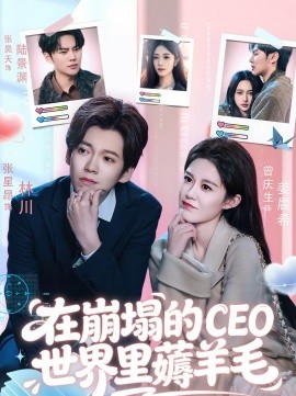 在崩塌的CEO世界裡薅羊毛