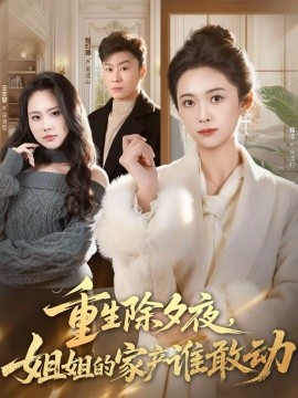 重生除夕夜，姐姐的家產誰敢動