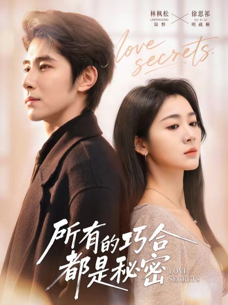 所有的巧合都是秘密（陸總夫人她只想離婚）