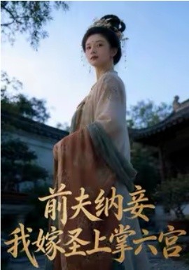 前夫納妾，我嫁聖上掌六宮