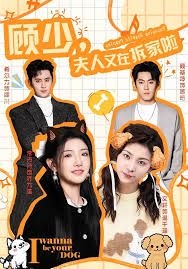 顧少，夫人又在拆家啦
