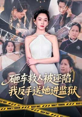 砸車救人被誣陷，我反手送她進監獄