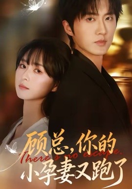 顧總，你的小孕妻又跑了