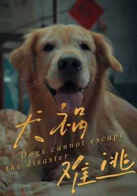 犬禍難逃