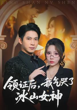 領證後，我氣哭了冰山女神