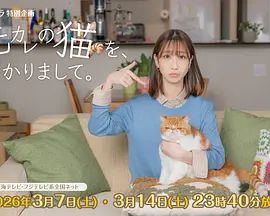 我收留了前男友的貓