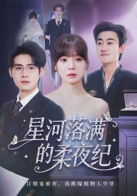 星河落滿的柔夜紀