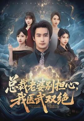 總裁老婆別擔心，我醫武雙絕