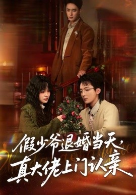 假少爺退婚當天，真大佬上門認親