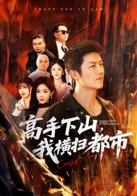 高手下山，我橫掃都市