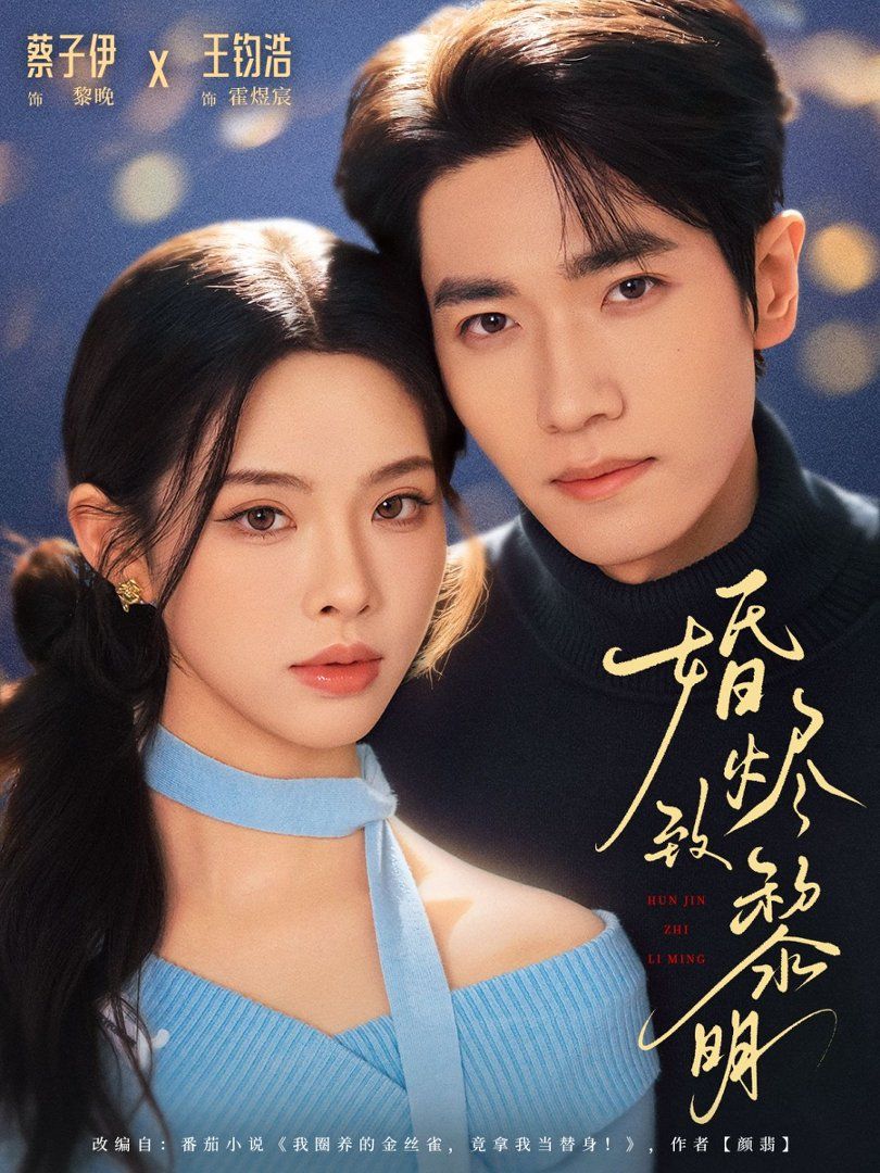婚燼致黎明