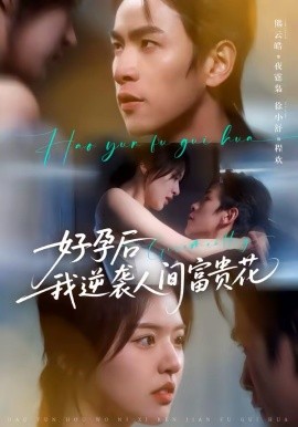 夜先生的小歡喜 好孕後我逆襲人間富貴花