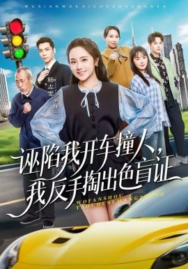 誣陷我開車撞人，我反手掏出色盲證