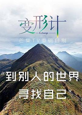 2017變形計