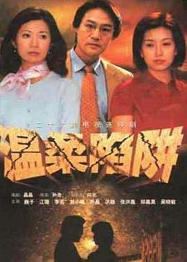 溫柔陷阱2001