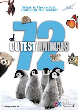 72大可愛動物