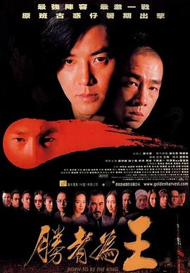 勝者為王之拳王阿里