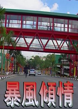 暴風傾情