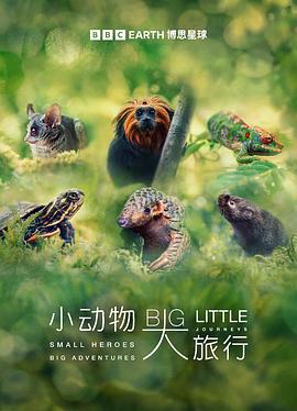 小動物大旅行